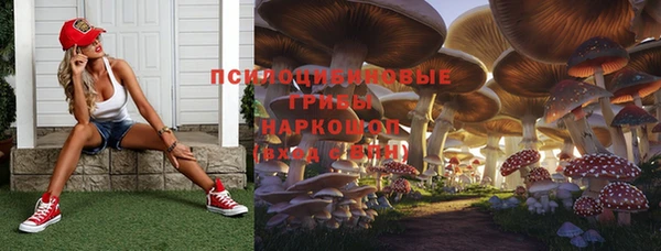 кокс Абдулино
